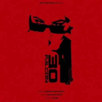30 Falcon songs