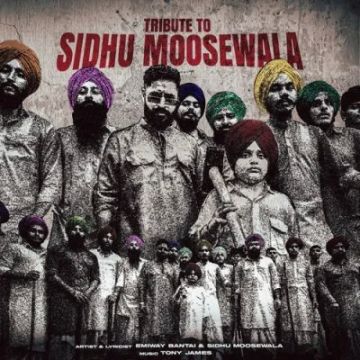 Tribute To Sidhu Moosewala  mp3 song
